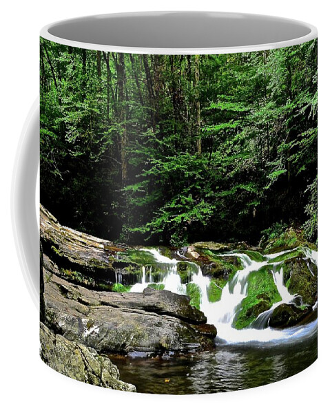 Cades Coffee Mug featuring the photograph On the way to Cades Cove by Frozen in Time Fine Art Photography