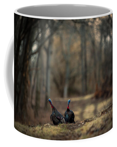 Wildlife Coffee Mug featuring the photograph On the Woodlot Path by Jeff Phillippi