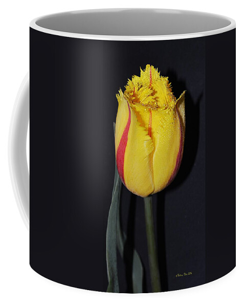 Tica Coffee Mug featuring the photograph Once again Spring by Felicia Tica