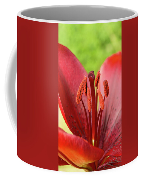 Red Coffee Mug featuring the photograph One flower wish for prosperity. by Elena Perelman
