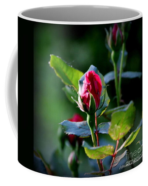 Roses Coffee Mug featuring the photograph One for You by Rabiah Seminole
