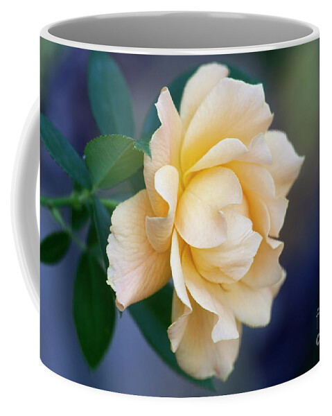 Rose Coffee Mug featuring the photograph One Last Rose by Joan Bertucci