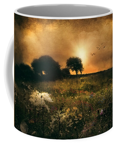  Coffee Mug featuring the photograph one morning in Clare by Cybele Moon