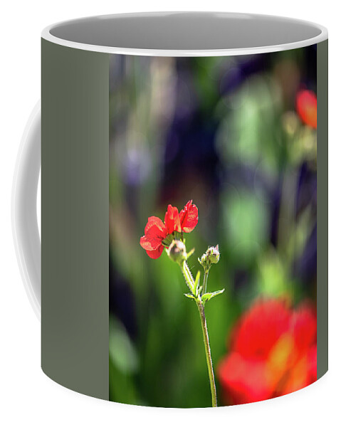 Flower Coffee Mug featuring the photograph One of Many or One of a Kind by Jennifer Grossnickle