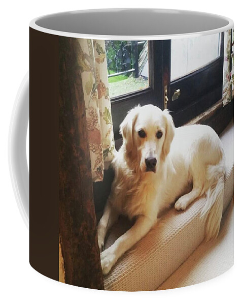 Dog Coffee Mug featuring the photograph Sitting Pretty by Rowena Tutty