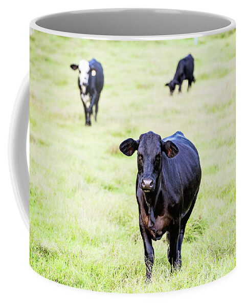 Cattle Coffee Mug featuring the photograph One of the Boys by Scott Pellegrin