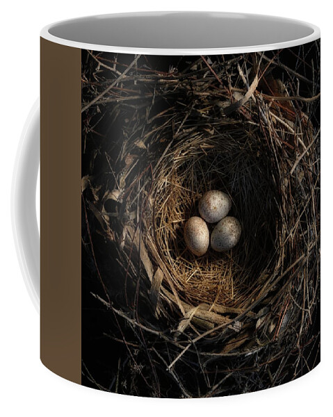 Egg Coffee Mug featuring the photograph One of the most private things in the world is an egg until it is broken MFK Fisher by Mark Fuller