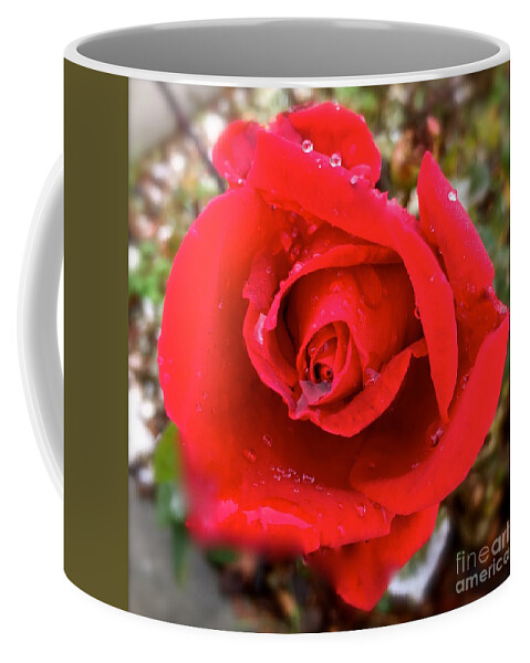 Rose Coffee Mug featuring the photograph One red rose by Wonju Hulse