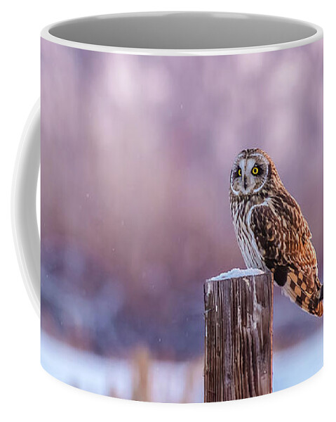Short-eared Owl Coffee Mug featuring the photograph One Shorty Winter In Idaho by Yeates Photography