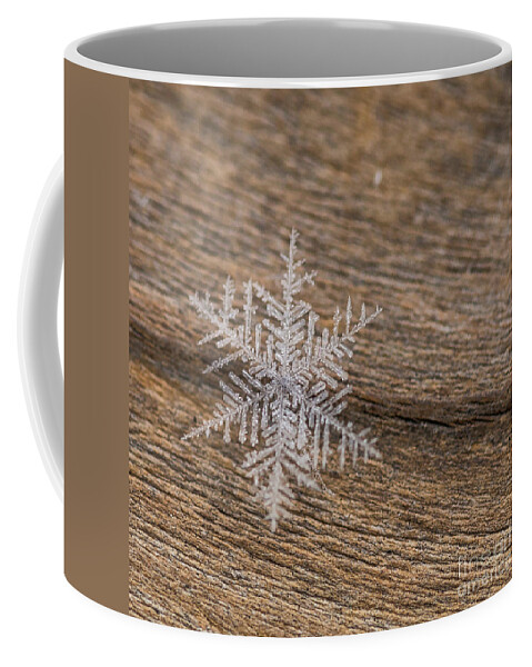 Snowflake Coffee Mug featuring the photograph One Snowflake by Ana V Ramirez
