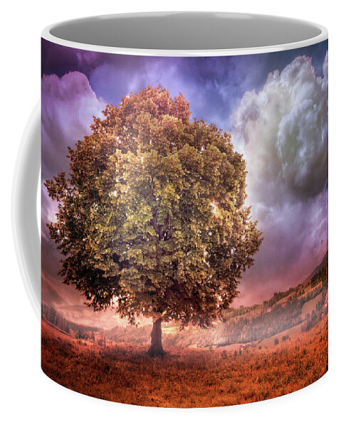 Appalachia Coffee Mug featuring the photograph One Tree in the Meadow by Debra and Dave Vanderlaan