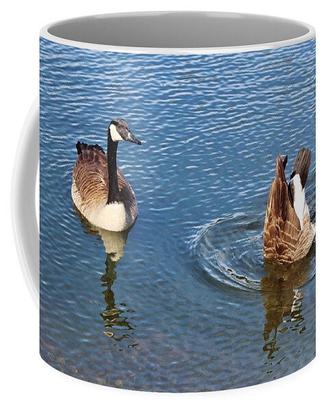 Canadian Geese Coffee Mug featuring the photograph One Up One Down by Cynthia Guinn