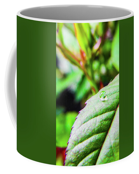 Leaves Coffee Mug featuring the photograph One Waterdrop by Cesar Vieira
