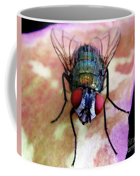 Fly Coffee Mug featuring the photograph One with Fly Boy by Jennie Breeze
