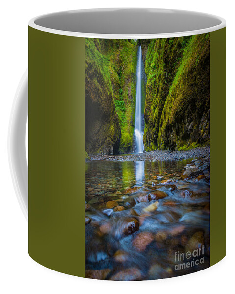 America Coffee Mug featuring the photograph Oneonta Cascades by Inge Johnsson