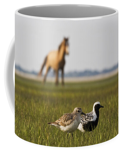 Black-bellied Plover Coffee Mug featuring the photograph Onlooker by Bob Decker
