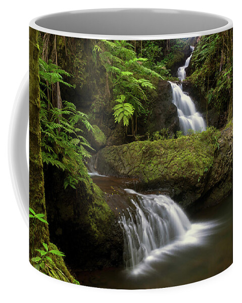 Big Island Coffee Mug featuring the photograph Onomea Falls by Christopher Johnson