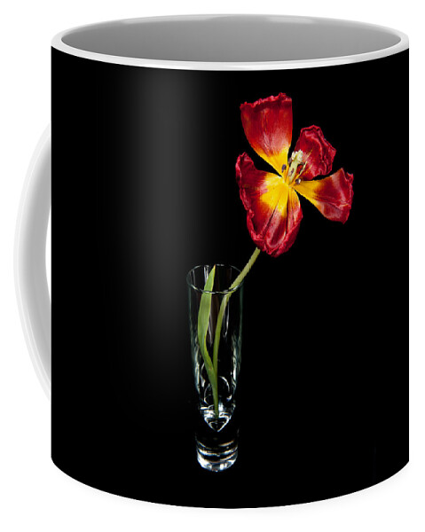 Black Coffee Mug featuring the photograph Open Red Tulip In Vase by Helen Jackson