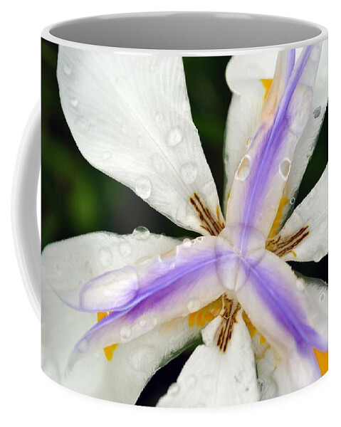 Flower Coffee Mug featuring the photograph Open Your Petals by Amanda Eberly