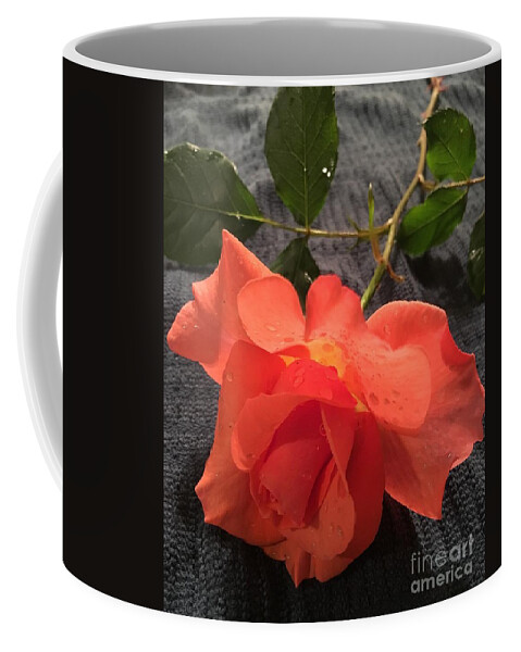 Rose Coffee Mug featuring the photograph Opened Rose by CAC Graphics