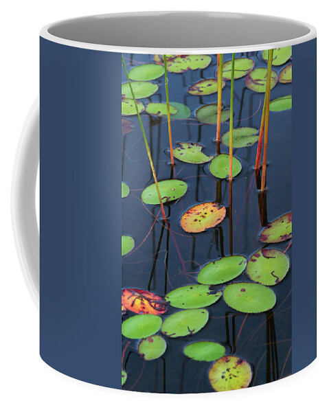 Lily Pad Coffee Mug featuring the photograph Orange and Green Water Lily Pads by Juergen Roth