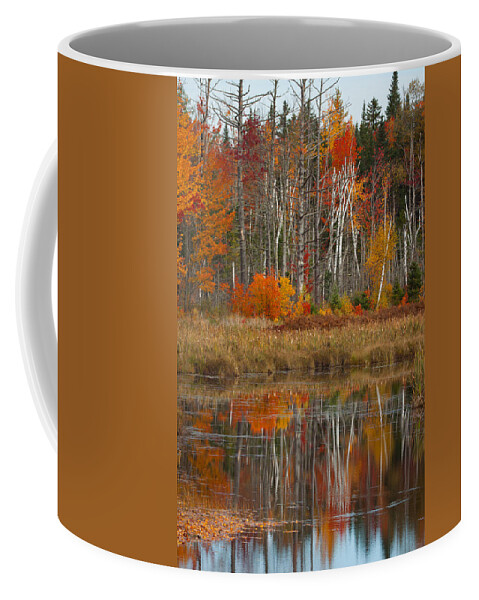 #jefffolger Coffee Mug featuring the photograph Orange And Red Surround Birch Gold by Jeff Folger