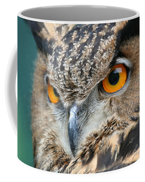 Owl Coffee Mug featuring the photograph Orange Crush by Laddie Halupa