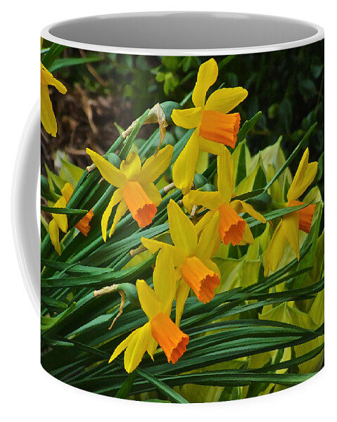 Narcissus Coffee Mug featuring the photograph Orange Cup Narcissus by Janis Senungetuk