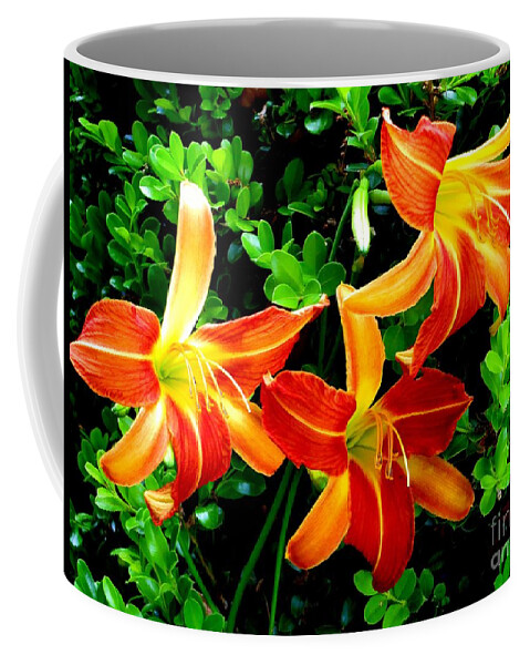 Orange Day Lilies Coffee Mug featuring the photograph Orange Day Lilies by Tim Townsend