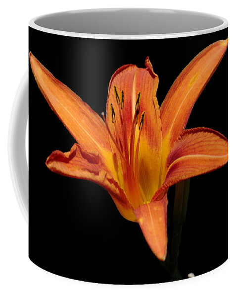 Orange Day-lily Coffee Mug featuring the photograph Orange Day-lily by John Moyer