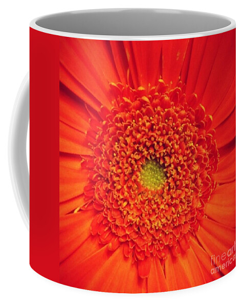Flower Coffee Mug featuring the photograph Orange for Andy by Denise Railey