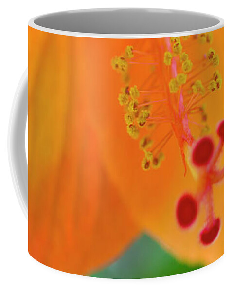 Hibiscus Coffee Mug featuring the photograph Orange Hibiscus by Christopher Johnson