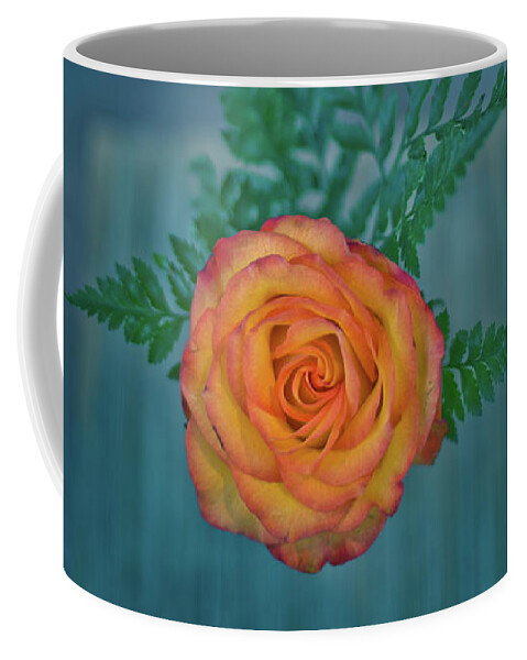 Beauty Coffee Mug featuring the photograph Orange In Blue by Elvira Pinkhas