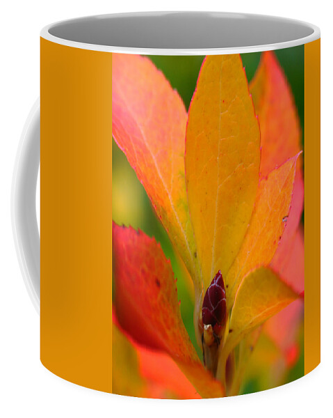 Autumn Coffee Mug featuring the photograph Orange Leaves by Juergen Roth