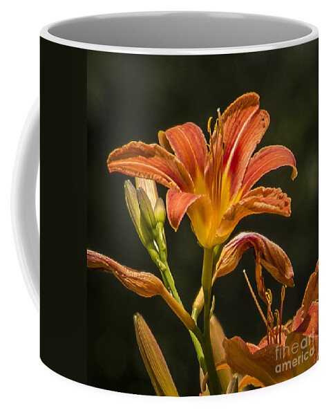 Flower Coffee Mug featuring the photograph Orange Lily Beauty by Joann Long