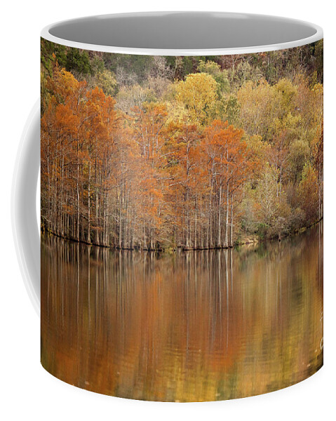 Cypress Trees Coffee Mug featuring the photograph Orange Pool by Iris Greenwell