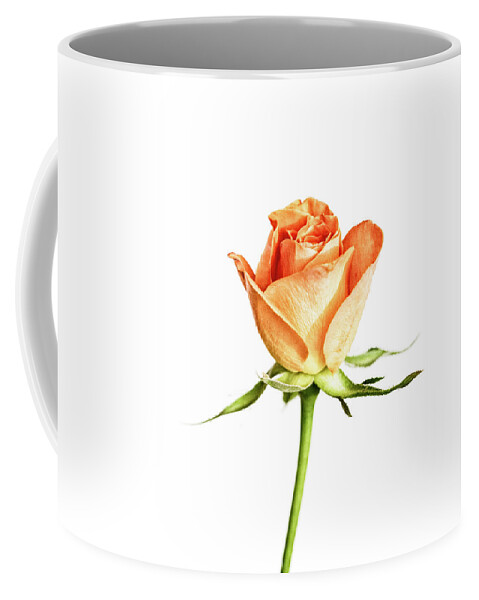 Rose Coffee Mug featuring the photograph Orange Rosy by Tanya C Smith