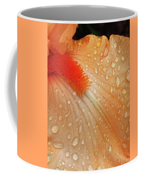 Iris Coffee Mug featuring the photograph Orange Sherbet by Jill Love