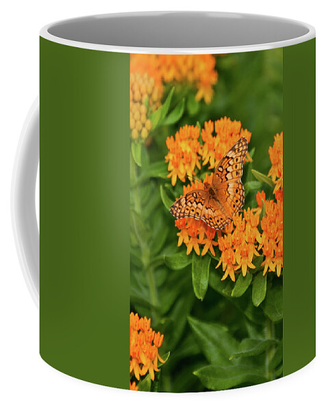 Variegated Fritillary Coffee Mug featuring the photograph Orange Splendor by Betty LaRue