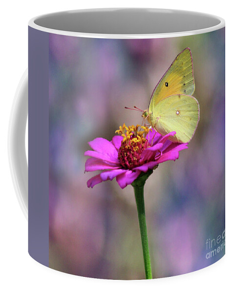Butterfly Coffee Mug featuring the photograph Orange Sulphur Butterfly Pastels by Karen Adams