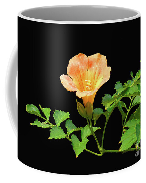 Floral Coffee Mug featuring the photograph Orange Trumpet Flower by Susan Lafleur