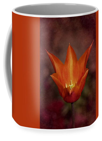 Tulip Coffee Mug featuring the photograph Orange Tulip by Richard Cummings