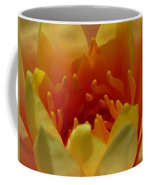 Lily Coffee Mug featuring the photograph Orange Water Lily by Juergen Roth