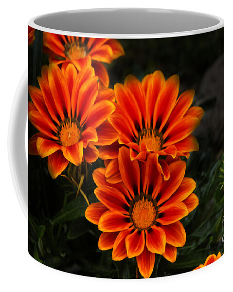 Orange Coffee Mug featuring the photograph Orange You Glad II by Al Bourassa