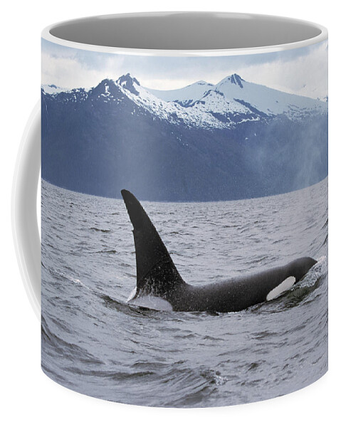 00196735 Coffee Mug featuring the photograph Orca in Inside Passage by Konrad Wothe