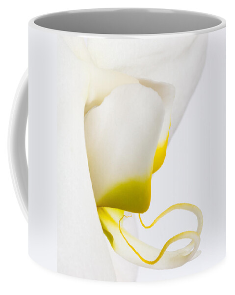 Orchid Coffee Mug featuring the photograph Orchid 2 by Patricia Schaefer