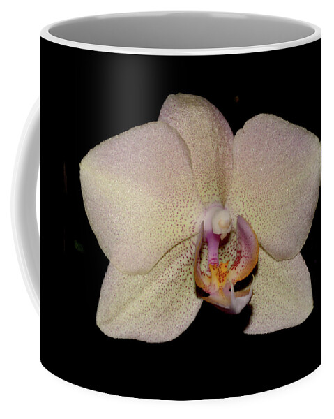 Nature Coffee Mug featuring the photograph Orchid 2016 2 by Robert Morin