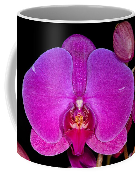 Flower Coffee Mug featuring the photograph Orchid 424 by Wesley Elsberry