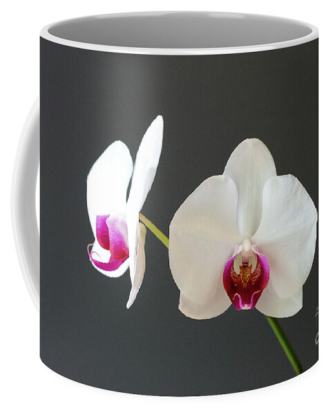 Orchid Coffee Mug featuring the photograph Orchid Blooms by Laurel Best