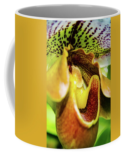 Cleveland Botanical Gardens Coffee Mug featuring the photograph Orchid Faces by Stewart Helberg